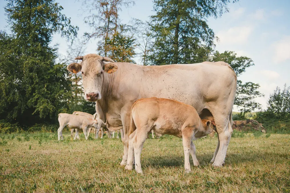 2018_blond-puech-007-web