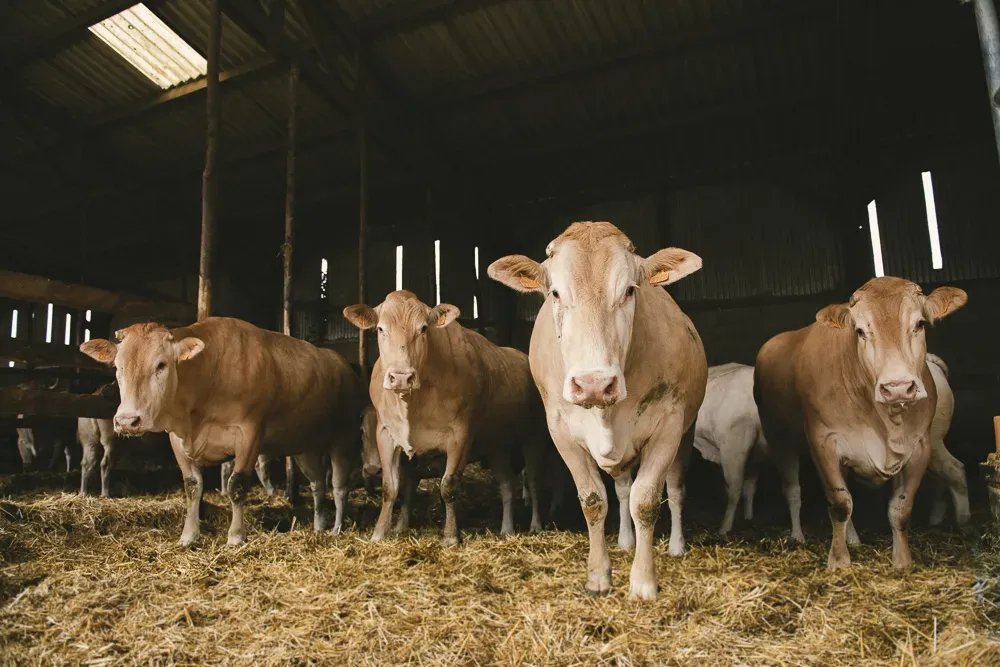 2018_blond-puech-046-web