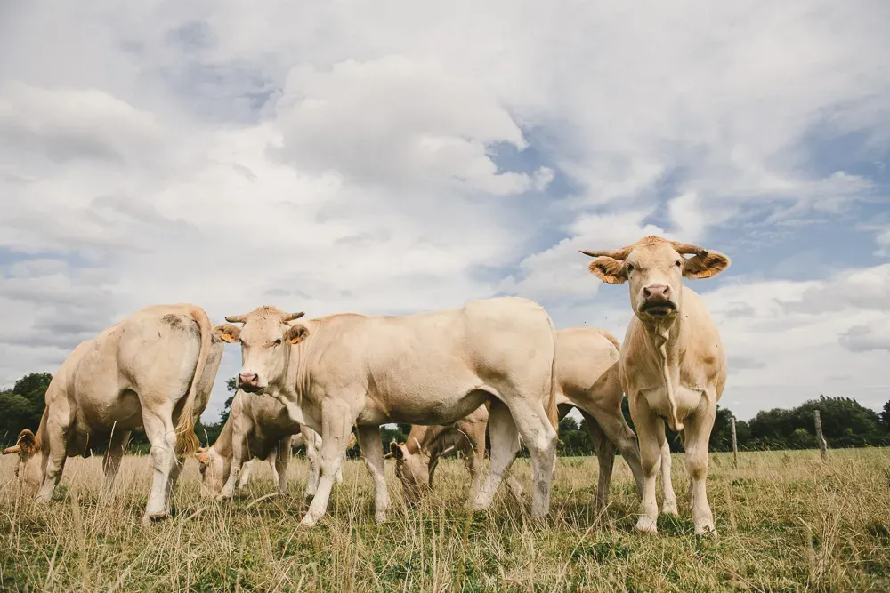 2018_blond-puech-098-web